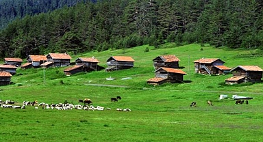  Karadeniz Yaylaları Ve Kanyonlarını JOLLY İle Keşfedin